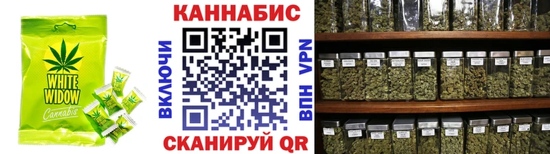 как найти наркотики  Долгопрудный  Cannafood конопля 