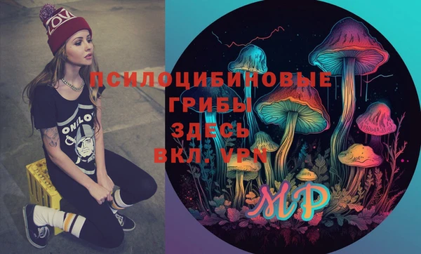 стаф Зеленокумск