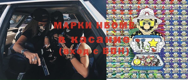 стаф Зеленокумск