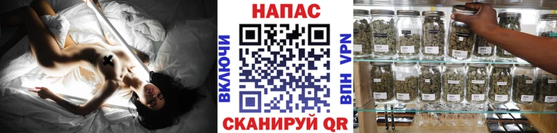 Бошки марихуана THC 21%  МЕГА ССЫЛКА  Долгопрудный  где купить наркоту 